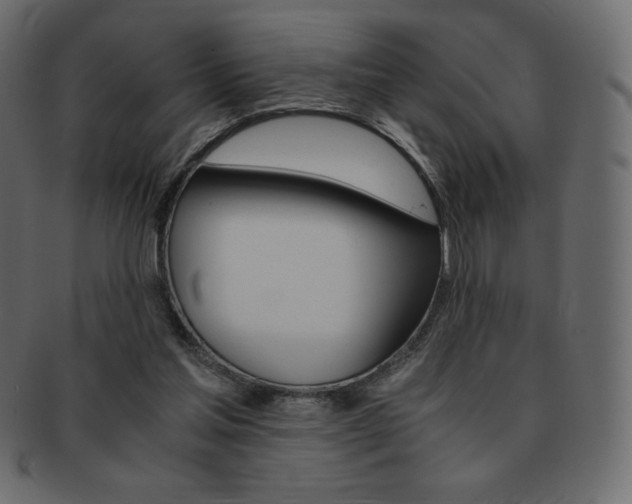 X0000093160205200709261042