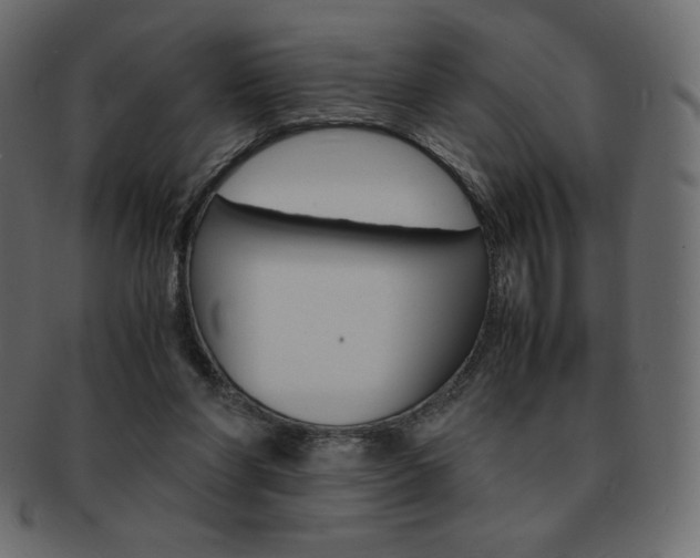 X0000093160206200709261042