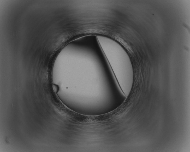 X0000093160207200709261042