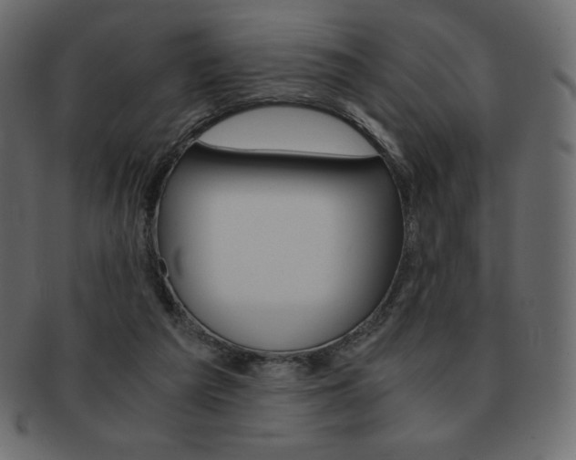 X0000093160209200709261042