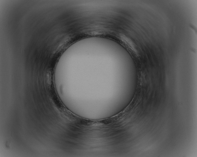 X0000093160210200709261042