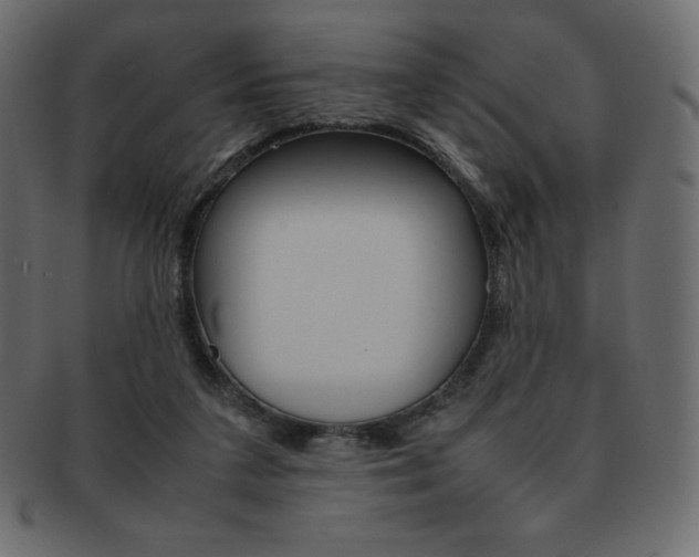 X0000093160211200709261042