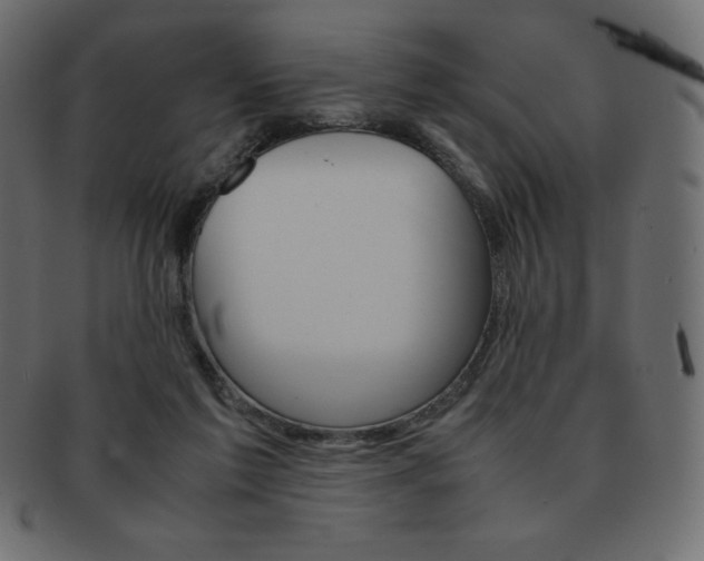X0000093160213200709261042