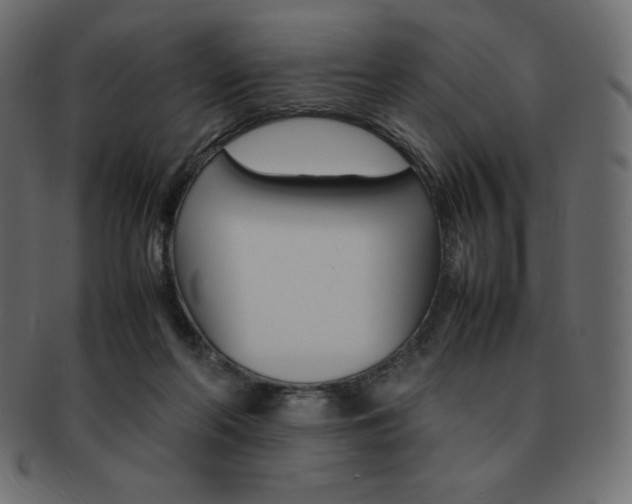 X0000093160214200709261042