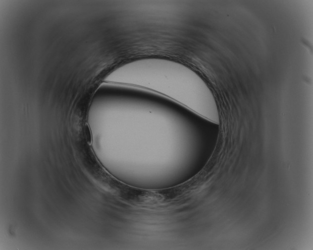 X0000093160215200709261042