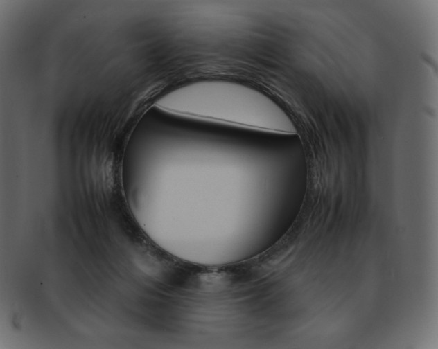 X0000093160216200709261042