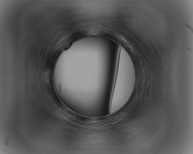 X0000093160217200709261042