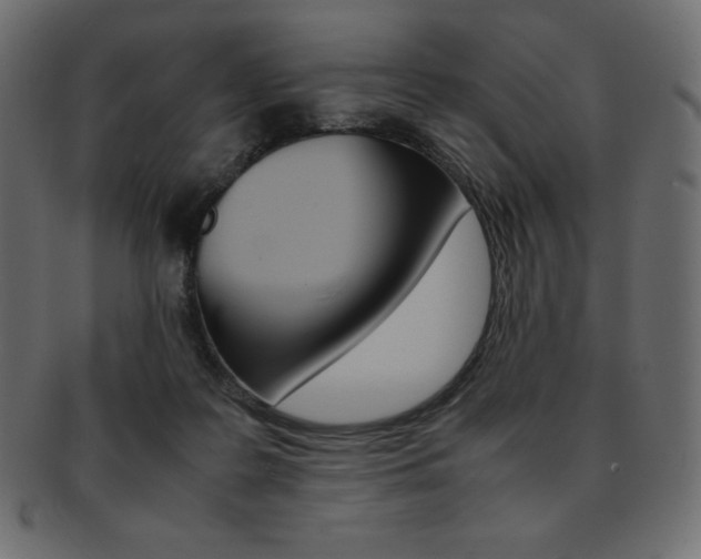 X0000093160219200709261042