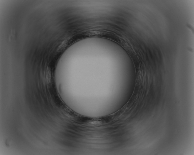 X0000093160220200709261042