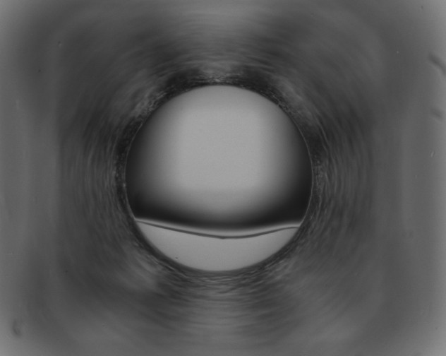 X0000093160221200709261042