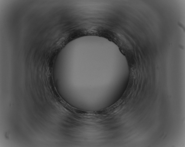 X0000093160223200709261042