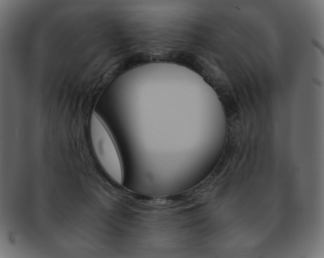X0000093160225200709261042