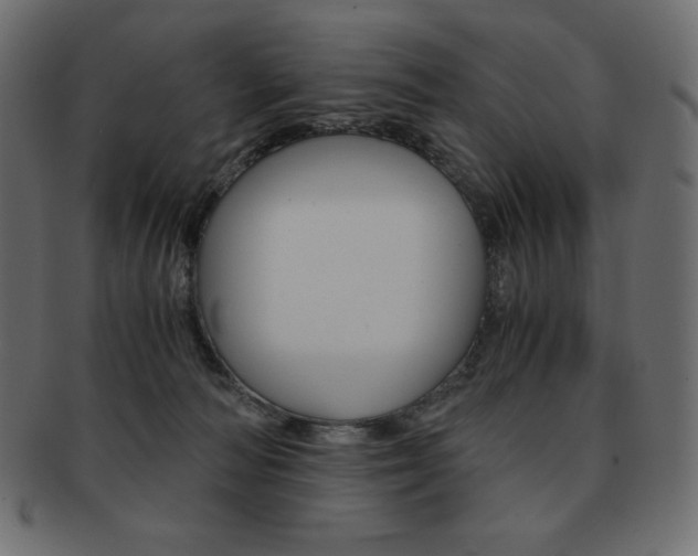 X0000093160226200709261042