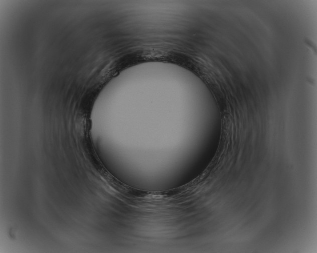 X0000093160227200709261042