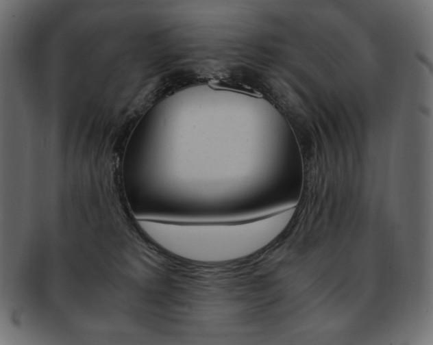 X0000093160229200709261042