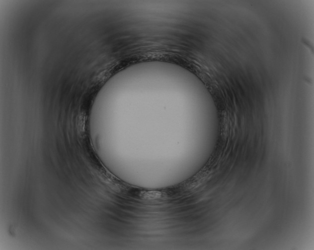 X0000093160230200709261042