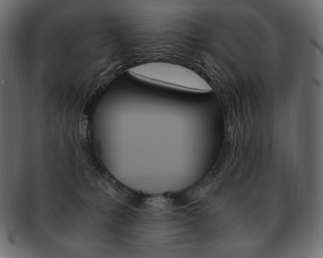 X0000093160231200709261042