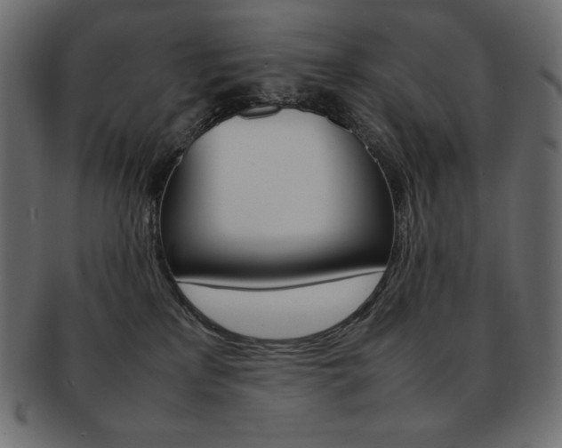 X0000093160233200709261042