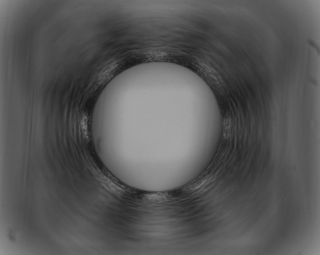 X0000093160238200709261042