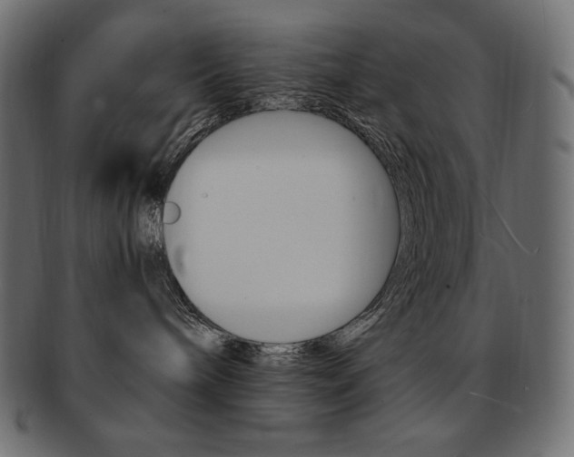 X0000093160240200709261042
