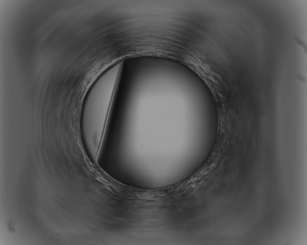 X0000093160241200709261041