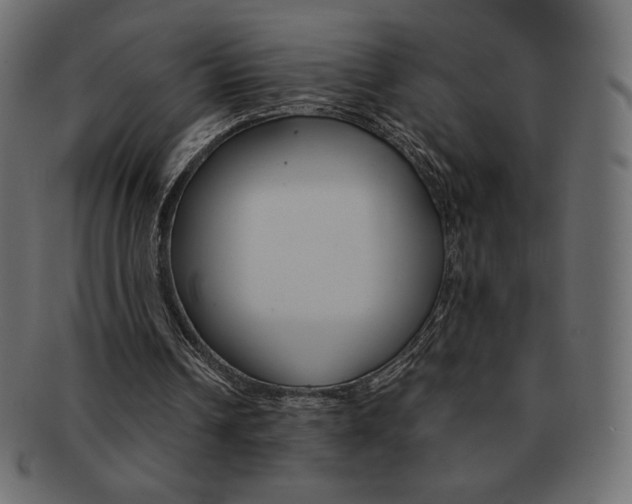 X0000093160242200709261041
