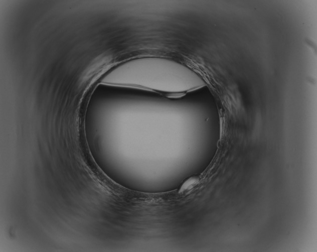 X0000093160243200709261041