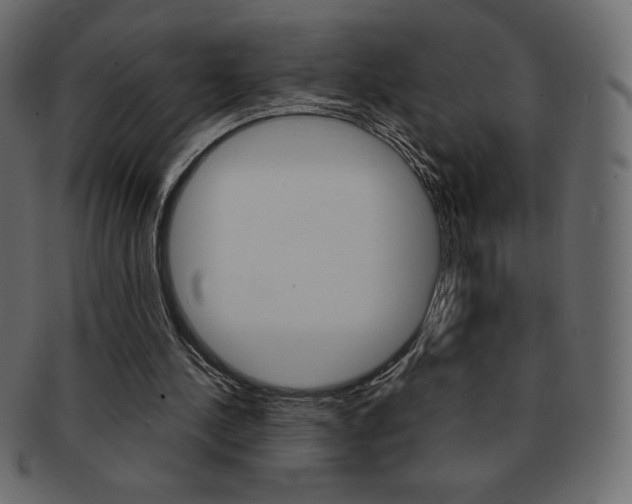 X0000093160244200709261041