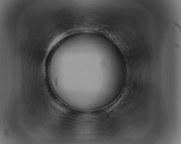X0000093160246200709261041