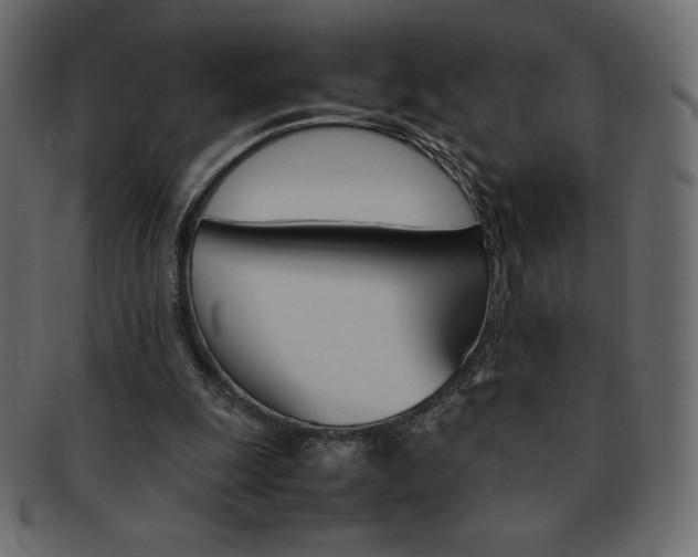X0000093160247200709261041
