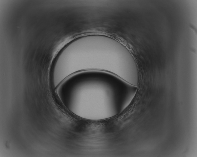 X0000093160248200709261041