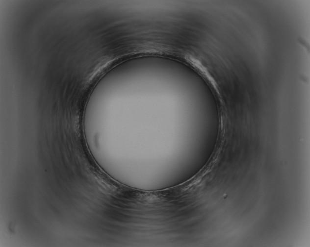 X0000093160249200709261041