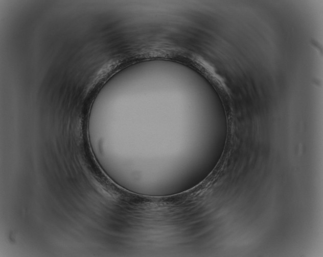 X0000093160250200709261041