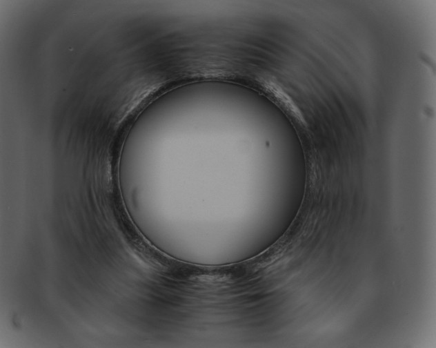 X0000093160251200709261041