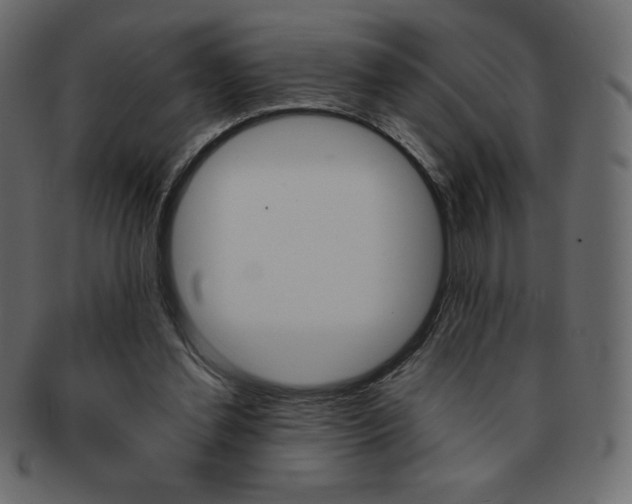 X0000093160252200709261041