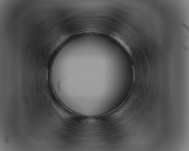 X0000093160253200709261041