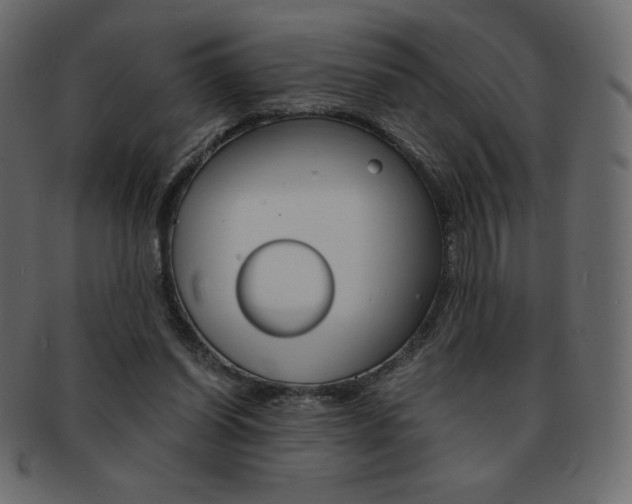 X0000093160254200709261041