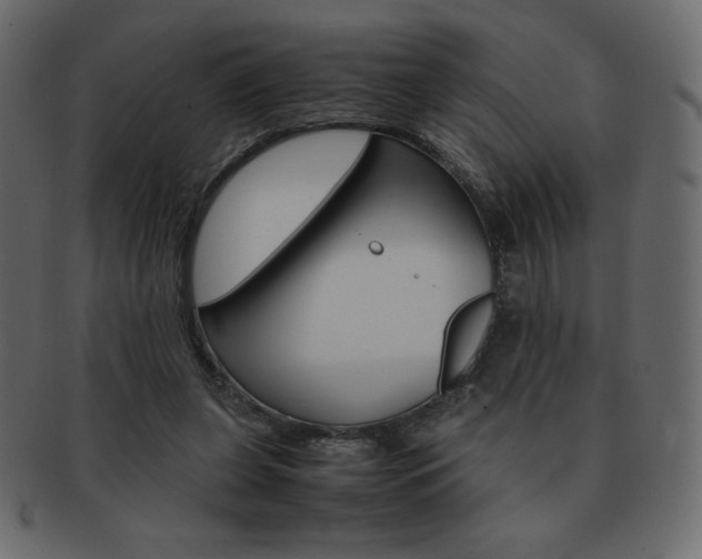 X0000093160255200709261041