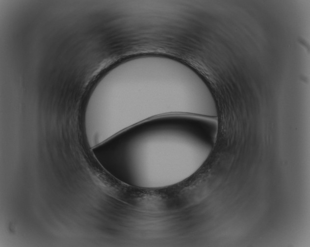 X0000093160256200709261041