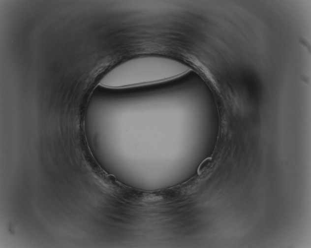 X0000093160257200709261041