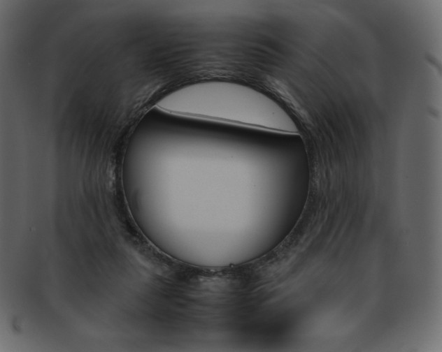 X0000093160259200709261041