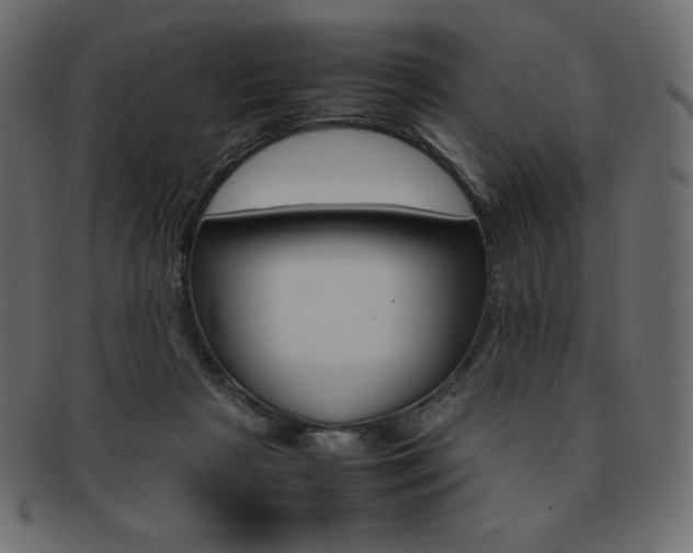 X0000093160265200709261041