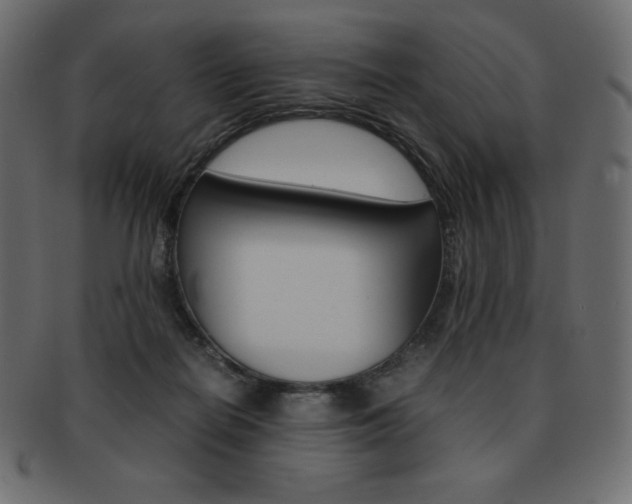 X0000093160266200709261041