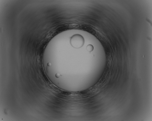 X0000093160270200709261041