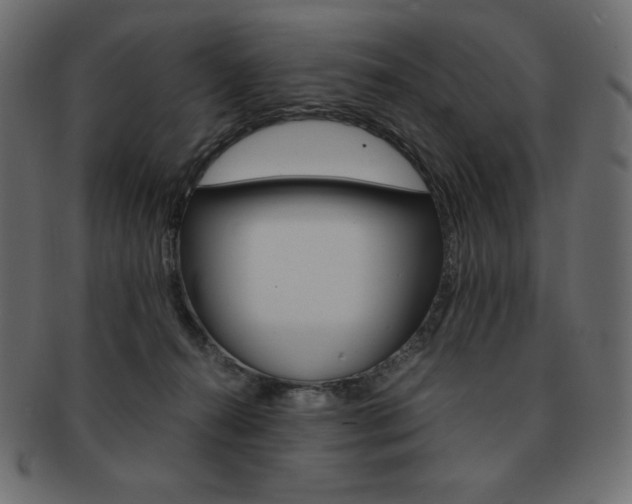 X0000093160272200709261041