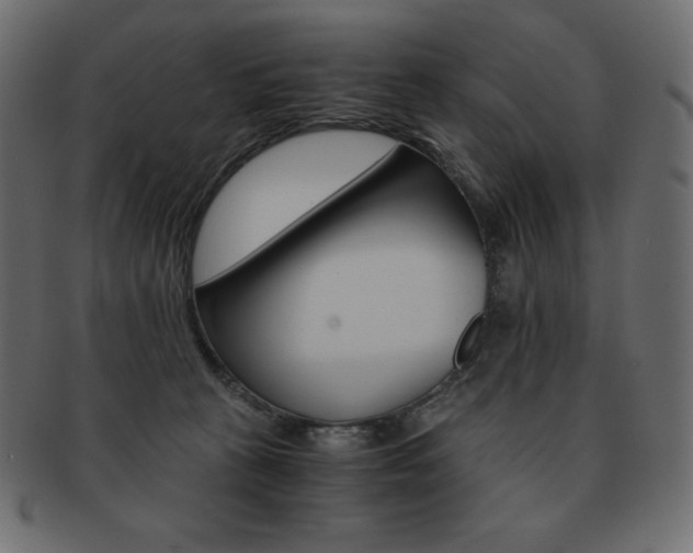 X0000093160273200709261041