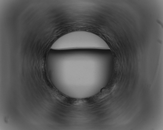 X0000093160274200709261042