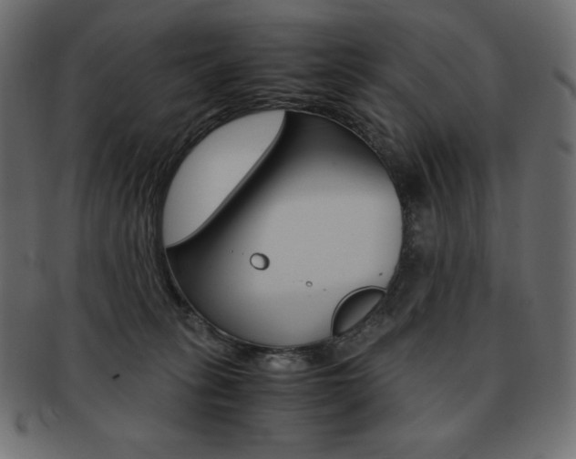X0000093160275200709261042