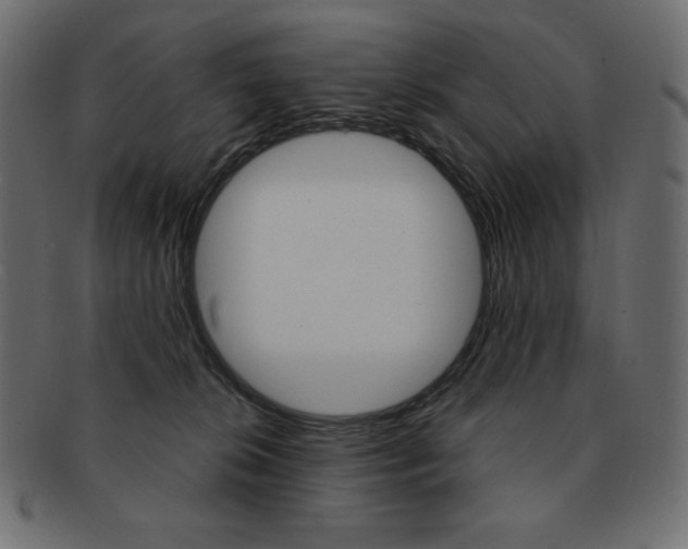 X0000093160276200709261042
