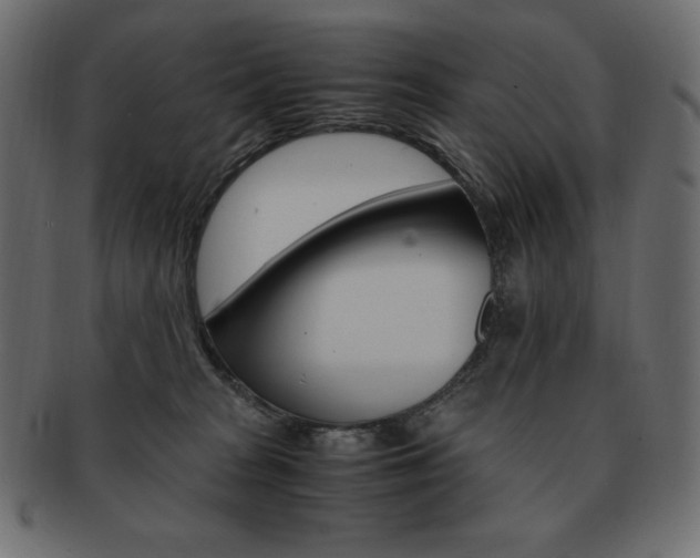 X0000093160277200709261042